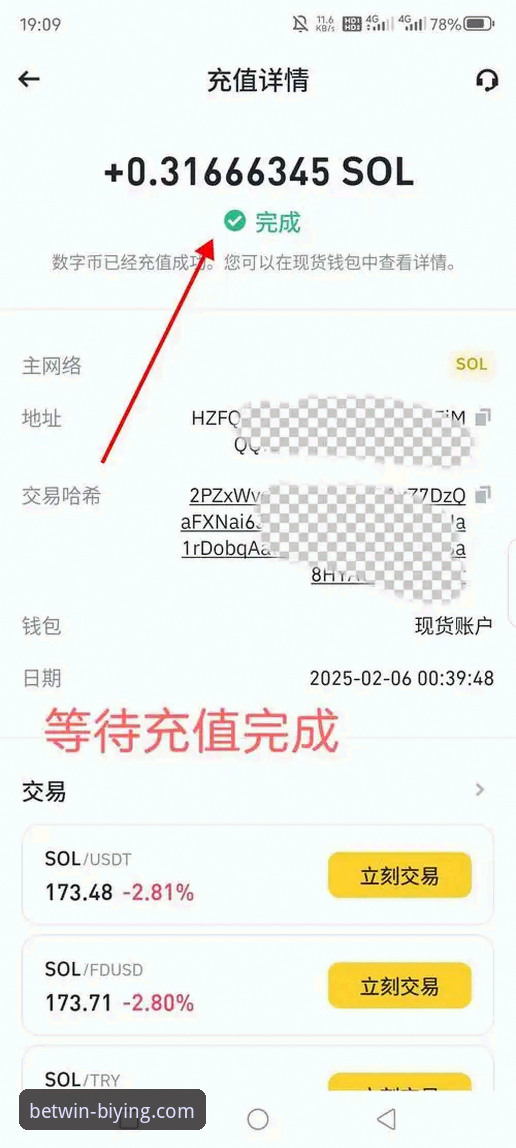 必赢官网版本更新安全性全面解析：新手必读的实用指南